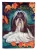 Shih Tzu Dog Fall House Flag