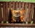 Pomeranian Dog Fall Outdoor Pillow