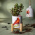 Spring Cardinal Mini Planter