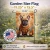 Golden Fall French Bulldog Garden Flag