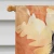 Fall Leaves Himalayan Cat House Flag
