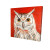 Owl on Red Fine Art Print