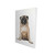 Pug Portrait Canvas Wall Art 