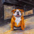 Rustic Bulldog Fine Art Print