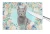 Russian Blue Cat Cutting Board