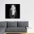 White Horse Canvas Wall Art - 36" x 36"