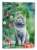 Christmas British Shorthair Cat Flag