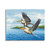 Pelican Canvas Wall Art