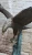 Extra-Large Swooping Bald Eagle Bronze Sculpture on Marble Base - Moigniez