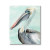 Pelican Canvas Wall Art