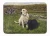 Labrador Retriever Rug