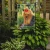 Yorkie & Ladybug Garden Flag