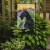 Black Schnauzer Garden Flag