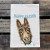 Donkey Easter Kitchen Towel