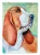 Basset Hound Flag