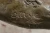 Bronze Walking Tiger Sculpture on Marble Base - Barye