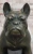 English Bulldog Bronze Sculpture