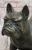 English Bulldog Bronze Sculpture