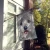 Westie House Flag