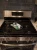 Harlequin Great Dane Oven Mitt