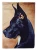 Great Dane Flag