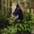 Great Dane Garden Flag