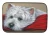Westie Dog Dish Mat