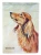 Dachshund Flag