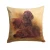 Irish Setter Throw Pillow
