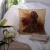 Irish Setter Pillow