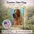 Irish Setter Garden Flag