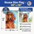 Irish Setter House Flag