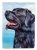 Black Lab Flag