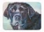 Black Lab Area Rug