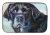 Black Lab Dish Mat