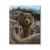 Rustic Grizzly Bear Family Canvas Art Print