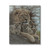 Lion Canvas Wall Art