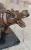 Bronze Hippo Sculpture