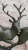 Deer Bronze Statue