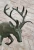 Bronze Deer Sculpture
