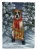 Winter Boxer Flag