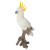Cockatoo Statue