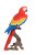 Scarlet Macaw Statue - Parrot Statue
