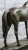 Bronze Horse Mare Sculpture on Marble Base - Mene