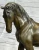 Bronze Horse Sculpture