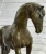 Bronze Arabian Horse Sculpture