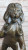 Bronze Lion Sculpture