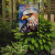 Bald Eagle Gaze Garden Flag