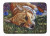 Corgi Area Rug