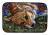 Corgi Dish Mat